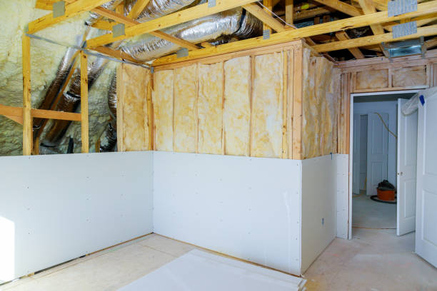 Best Eco-Friendly Insulation in Louisville, CO
