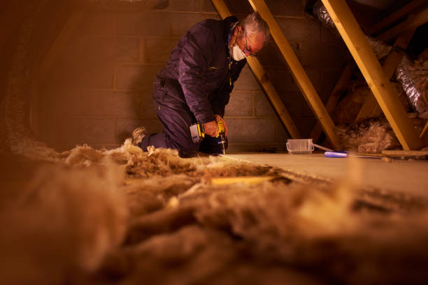 Types of Insulation We Offer in Louisville, CO